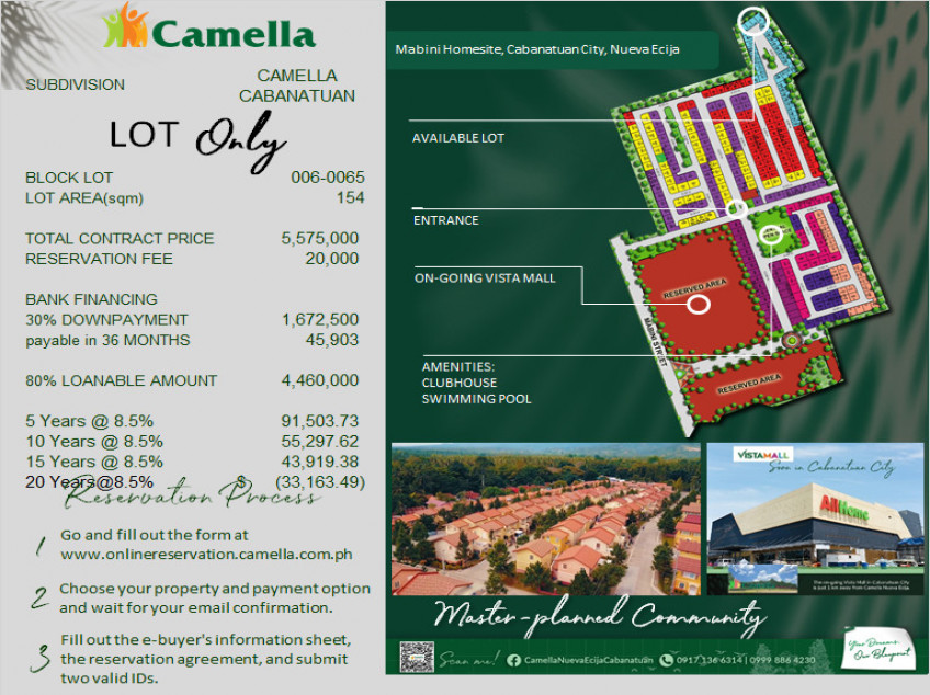 CAMELLA CABANATUAN LOT ONLY