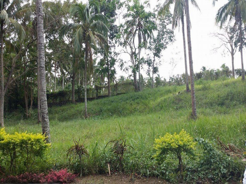 Lot for Sale in Tierra Maria Lipa Batangas