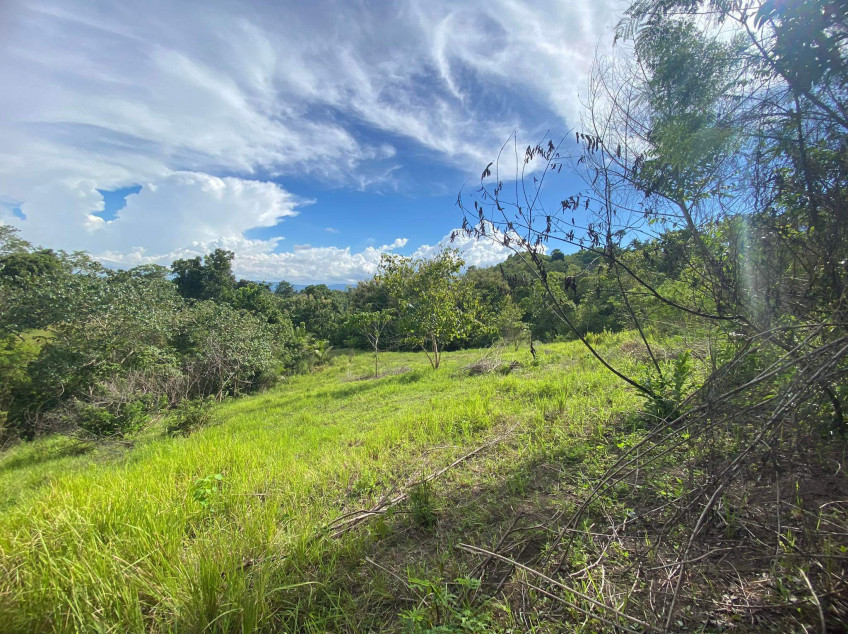 For Sale Portion Area of Lot 310,000 SQM. Over Looking Area With