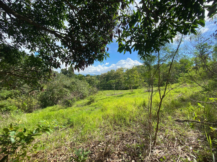 For Sale Portion Area of Lot 310,000 SQM. Over Looking Area With