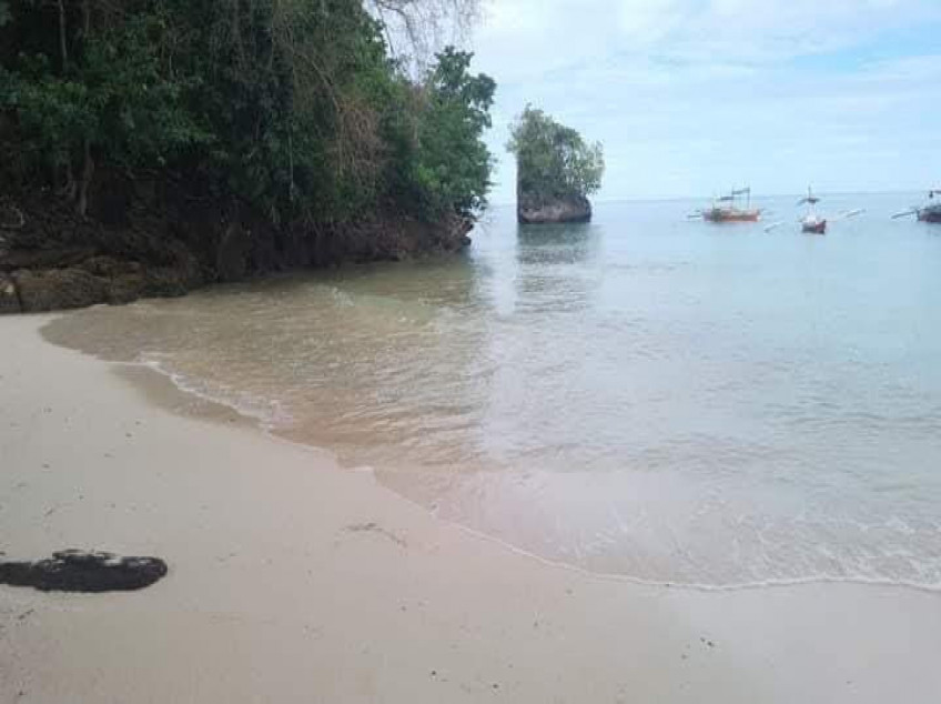 4-Hectare Beach Front Property For Sale With Trees And White Sand In ...