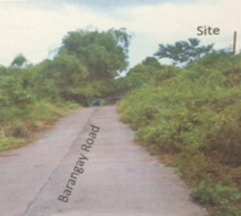 PAGBILAO QUEZON - 20 HECTARES RAWLAND FOR SALE